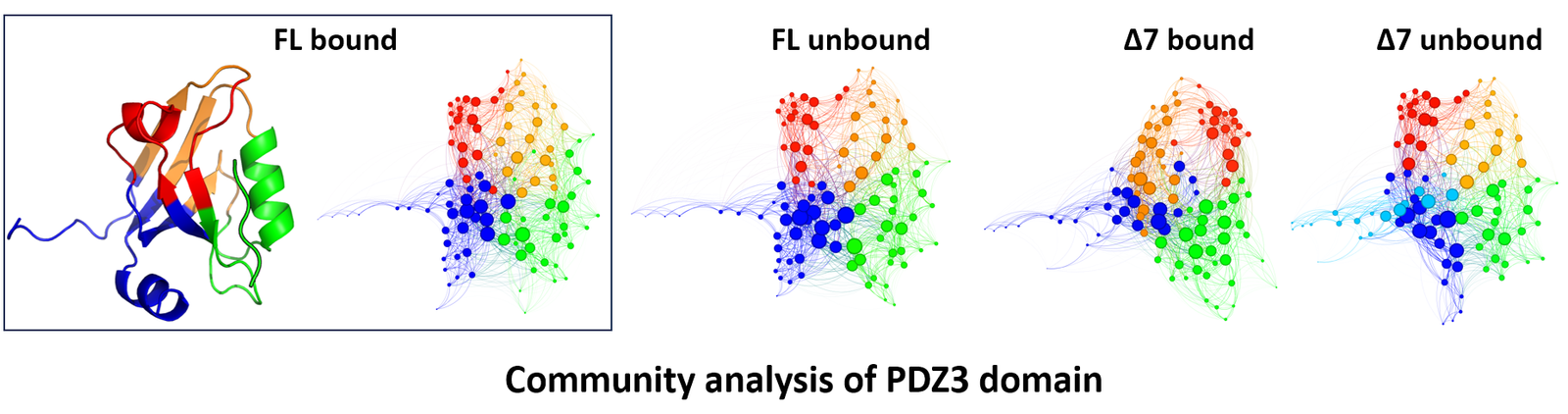 Time-averaged community structure for the four PDZ3 constructs.
